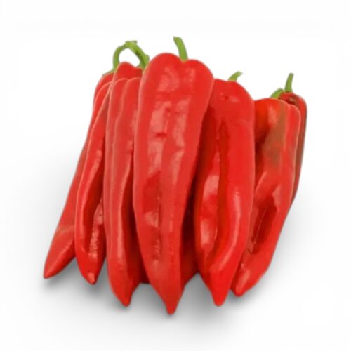 Paprika Korno Rot