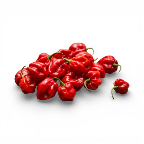 Paprika Habanero Rot