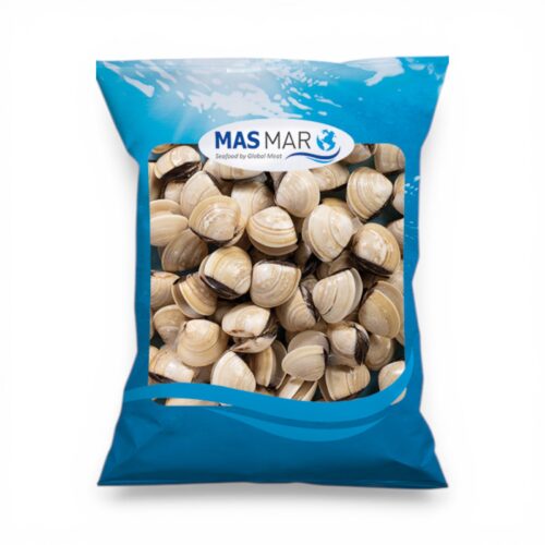 Braune Venusmuschein