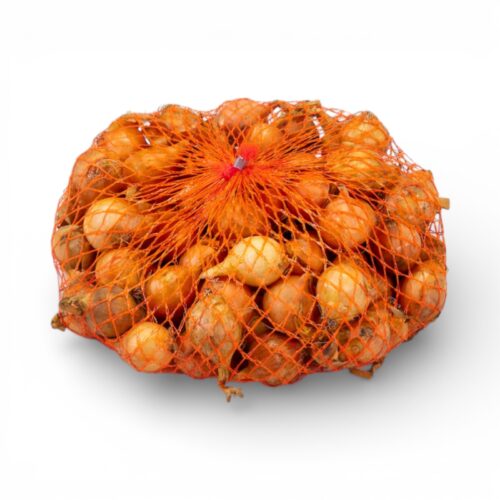 Steckzwiebeln 1kg Netz